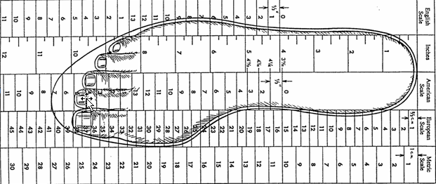 Free Printable Shoe Size Chart For Adults