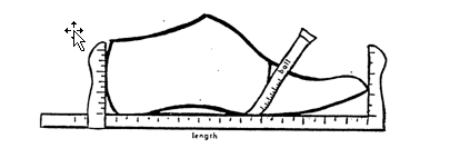 What Does AAA, AA, A, B, C, D, E, EE & EEE Mean for Shoe Width