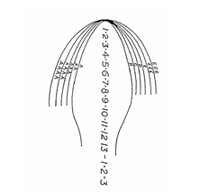 Footwear Sizing Differences: Men, Women 